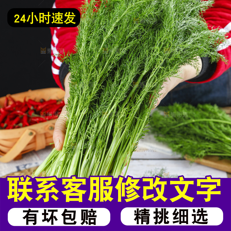 篮子里装着新鲜茴香菜