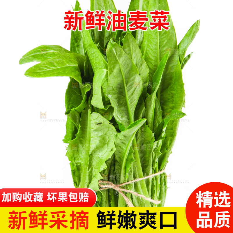白底上的香麦菜