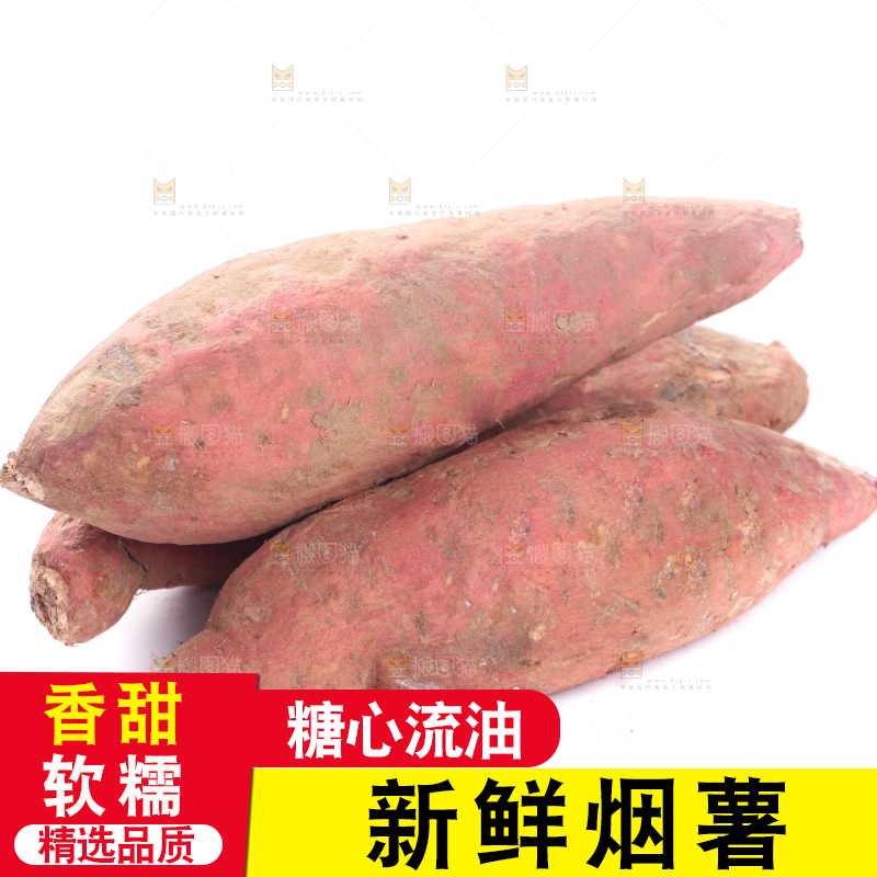 白底上蜜署