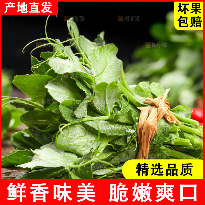 深底上的四川豌豆尖