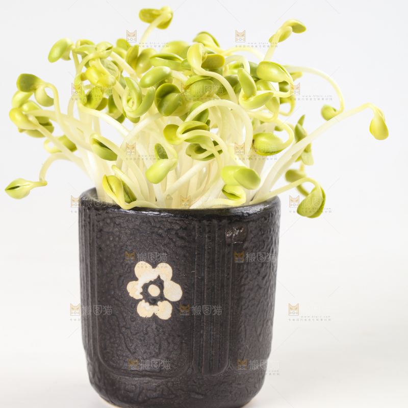 瓶子里放着黄豆芽