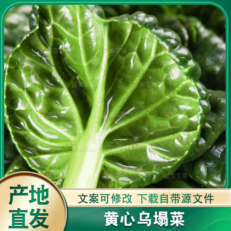 浅底上放着菊花菜