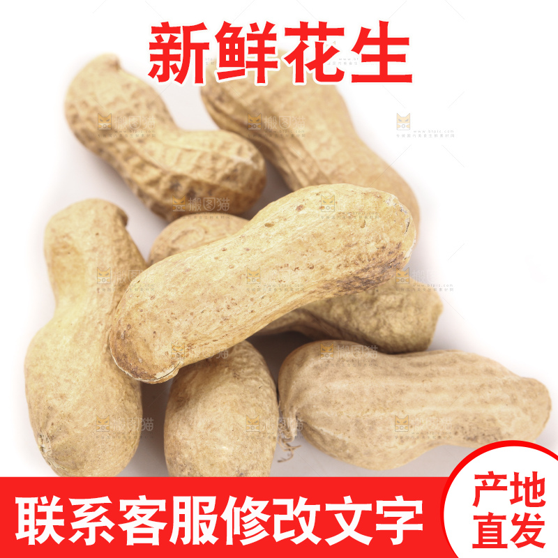 白底上的黑皮花生