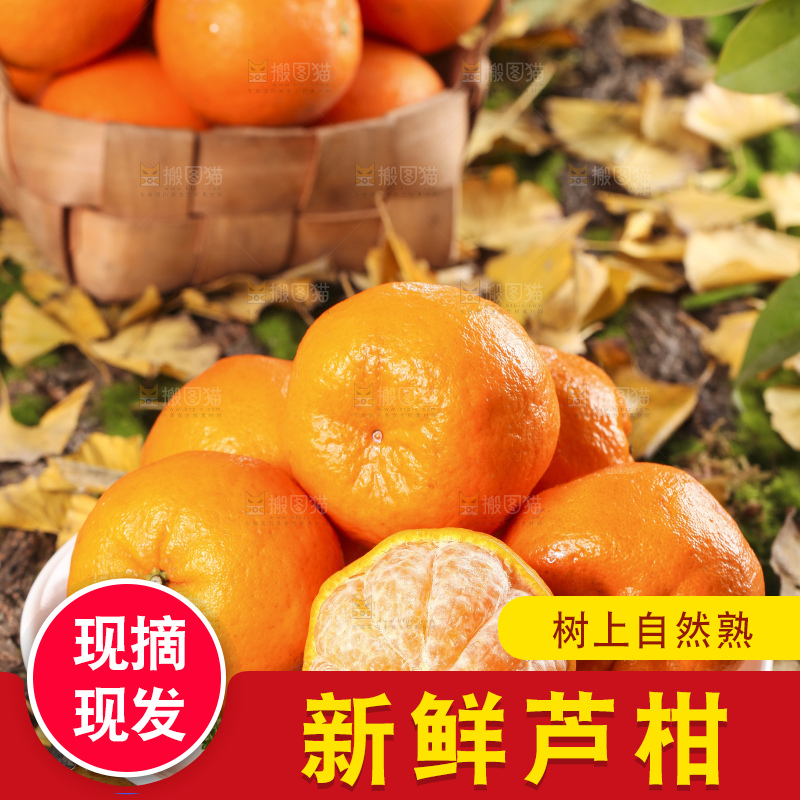 盘子里装着永春芦柑