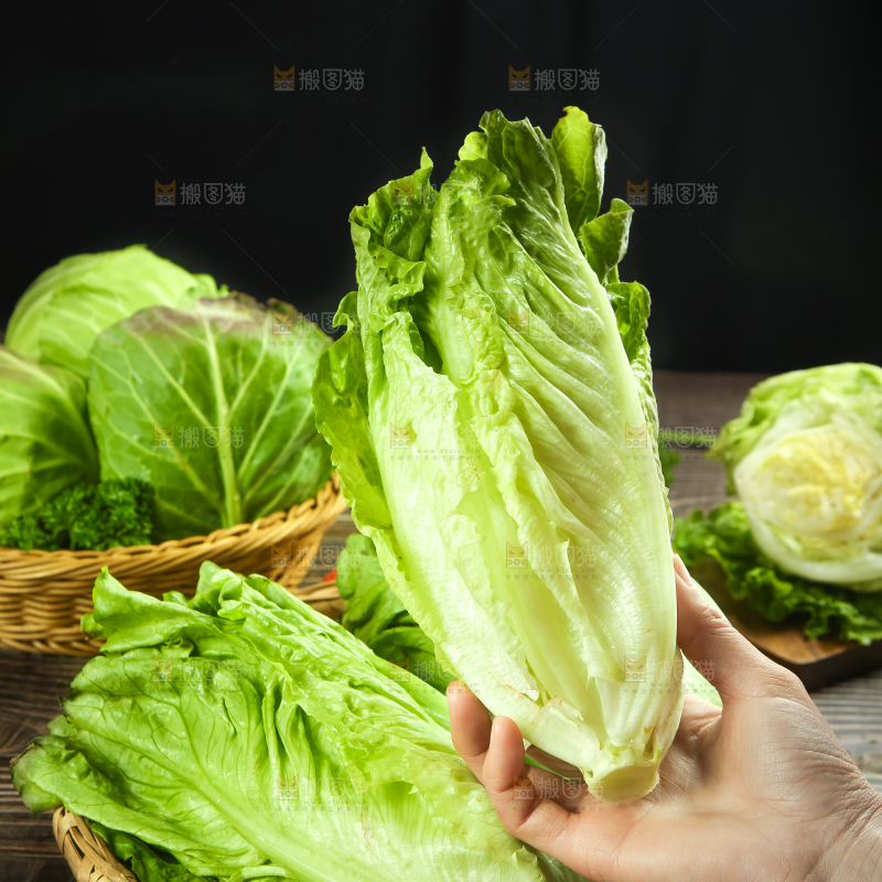 篮子里装着四季玻璃生菜
