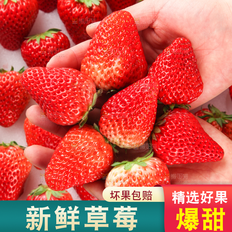 手里拿着新鲜草莓