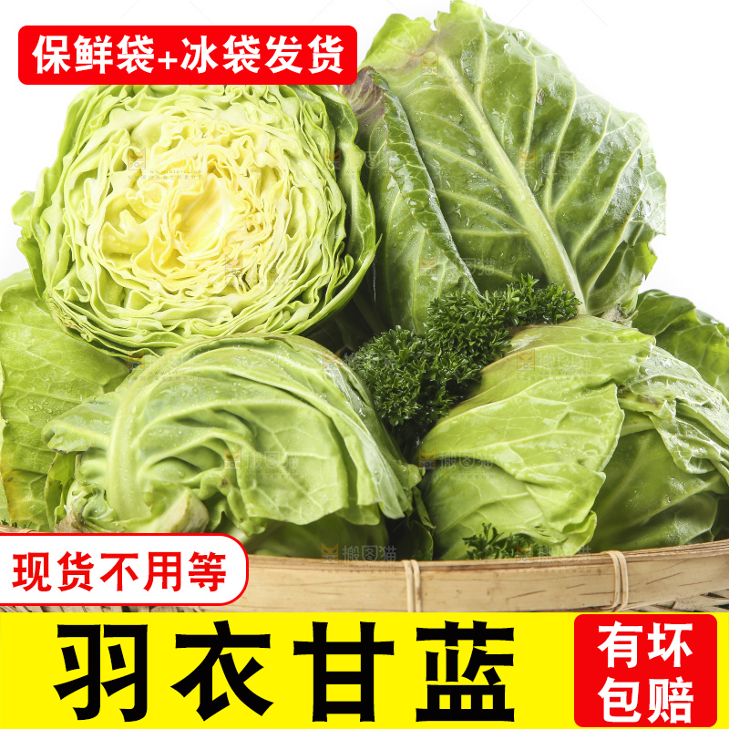篮子里装着洋白菜
