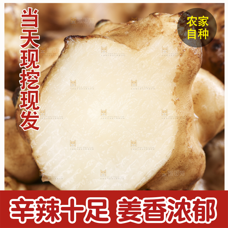 篮子里装着鬼子姜