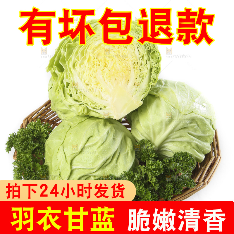 篮子里装着绿甘蓝