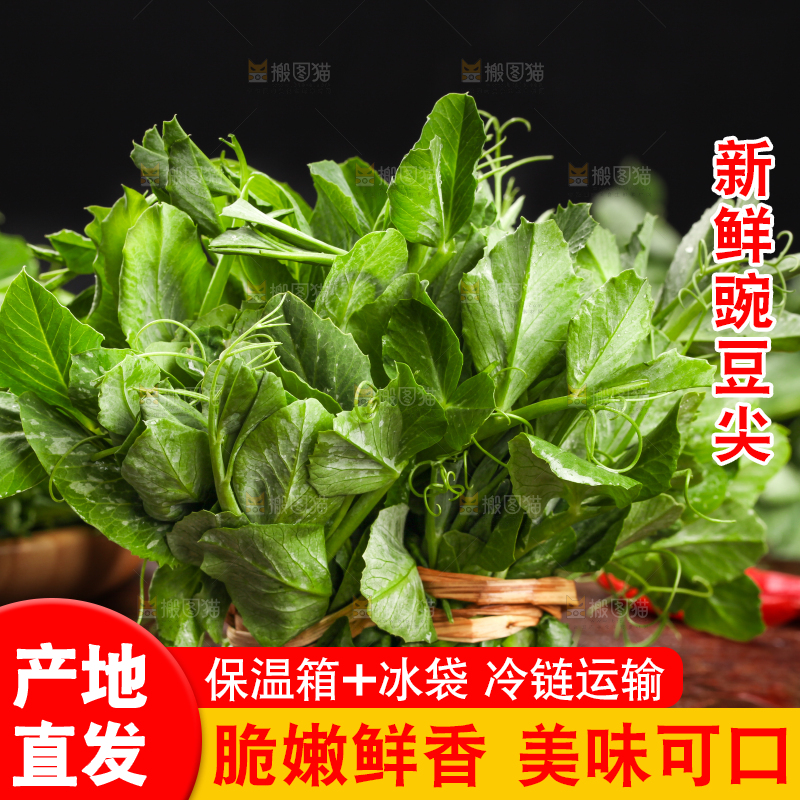 深底上的四川豌豆尖