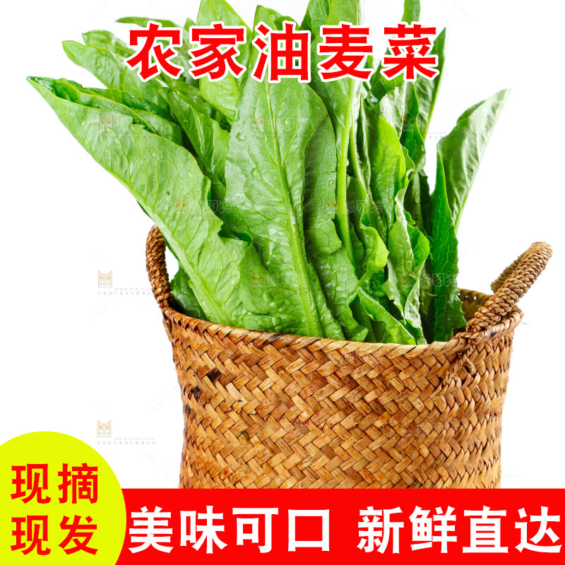 白底上放着油麦菜