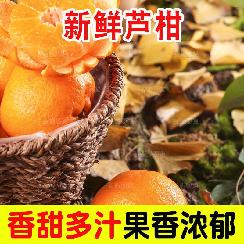 篮子里装着新鲜芦柑