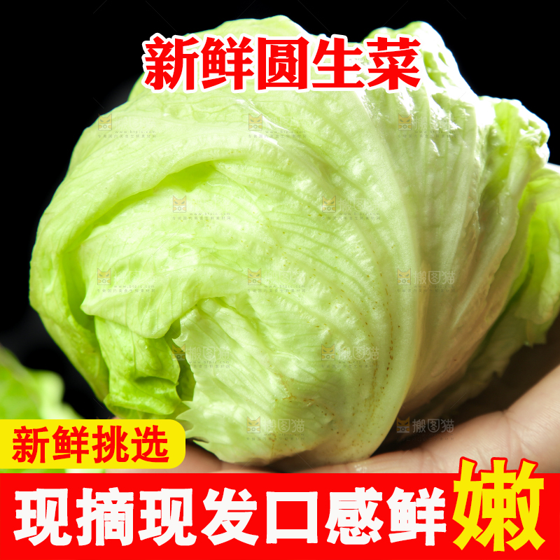深底上的圆形生菜
