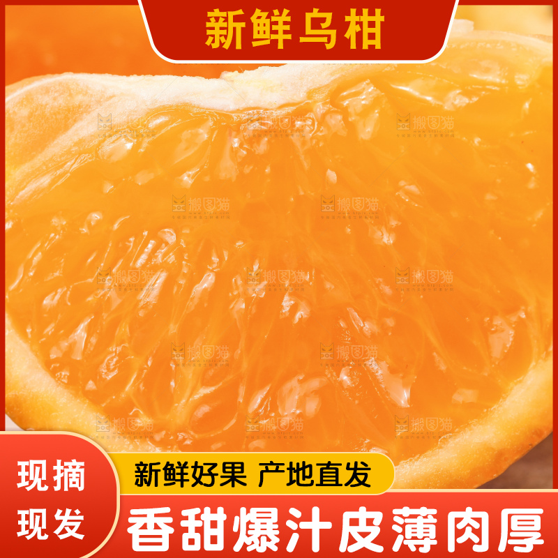 板子上摆放着广西乌柑