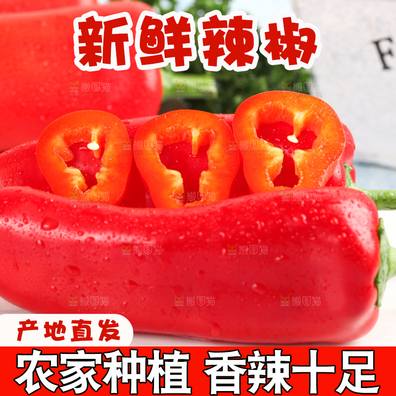 石板上的山东红辣椒