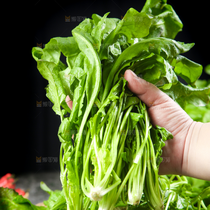 手里拿着新鲜芥菜