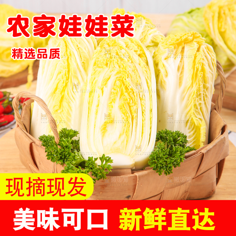 篮子里的湖北娃娃菜