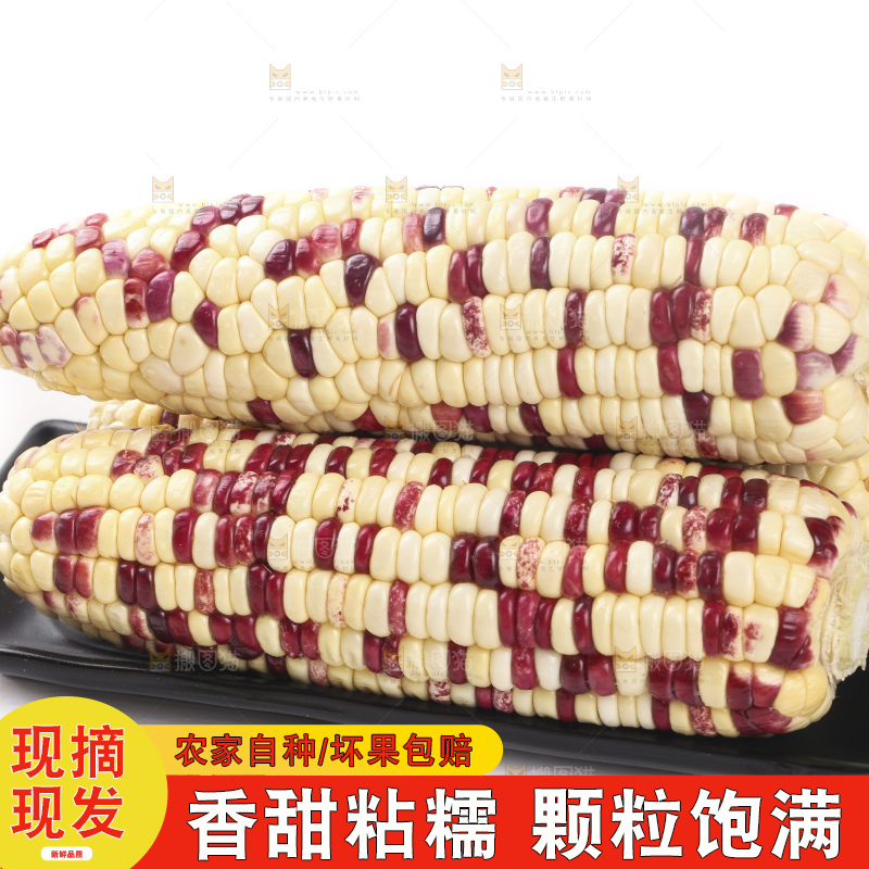 白底上放着一盘花糯玉米
