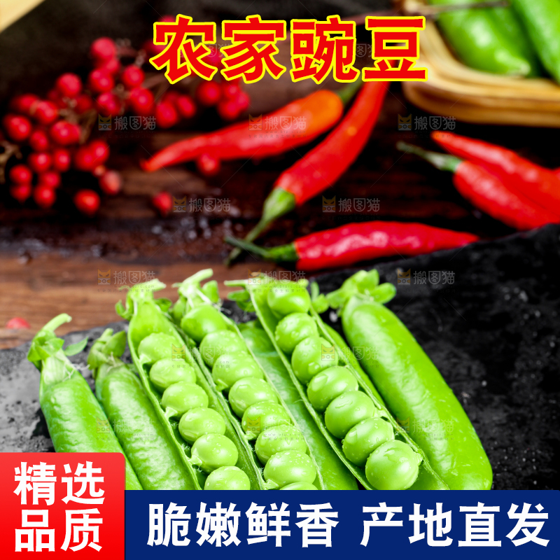 黑底上的青豌豆