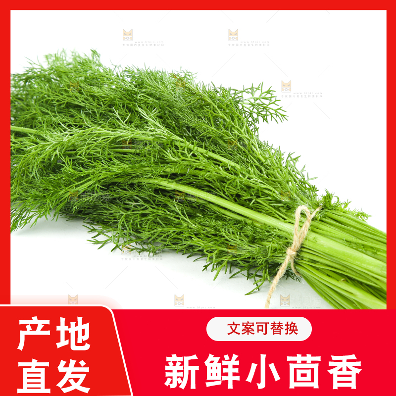 白底上放着小茴香