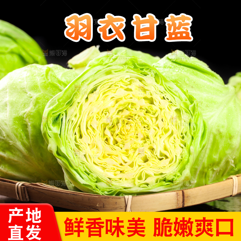 黑底上放着绿甘蓝
