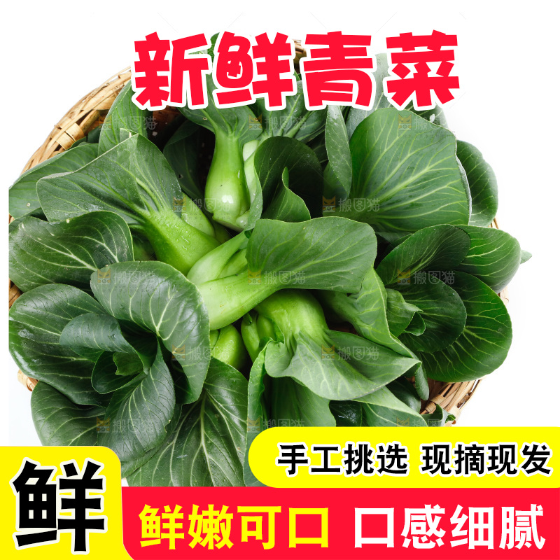 白底上放着青菜
