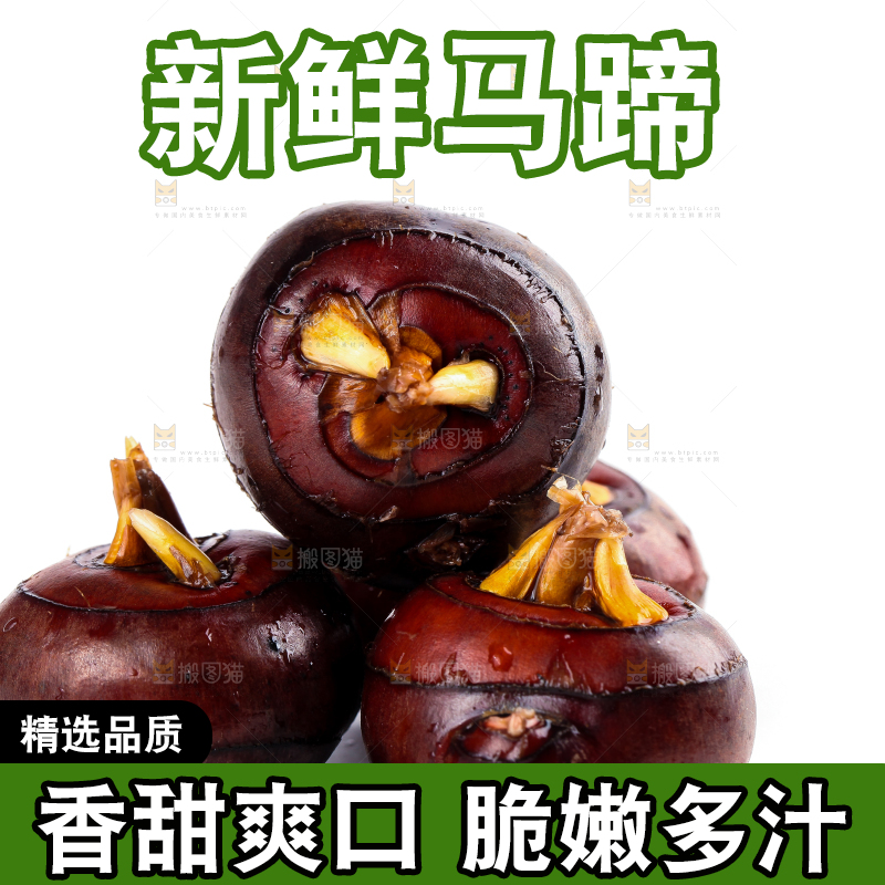 白底上摆放着乐昌北乡马蹄