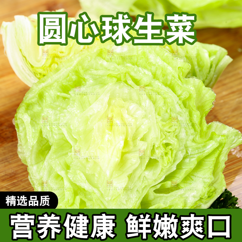 深底上的圆形生菜