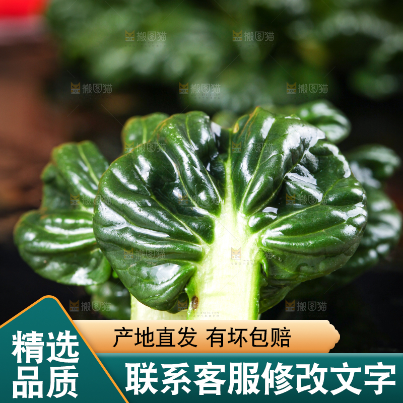 盘子里装着农家乌塌菜