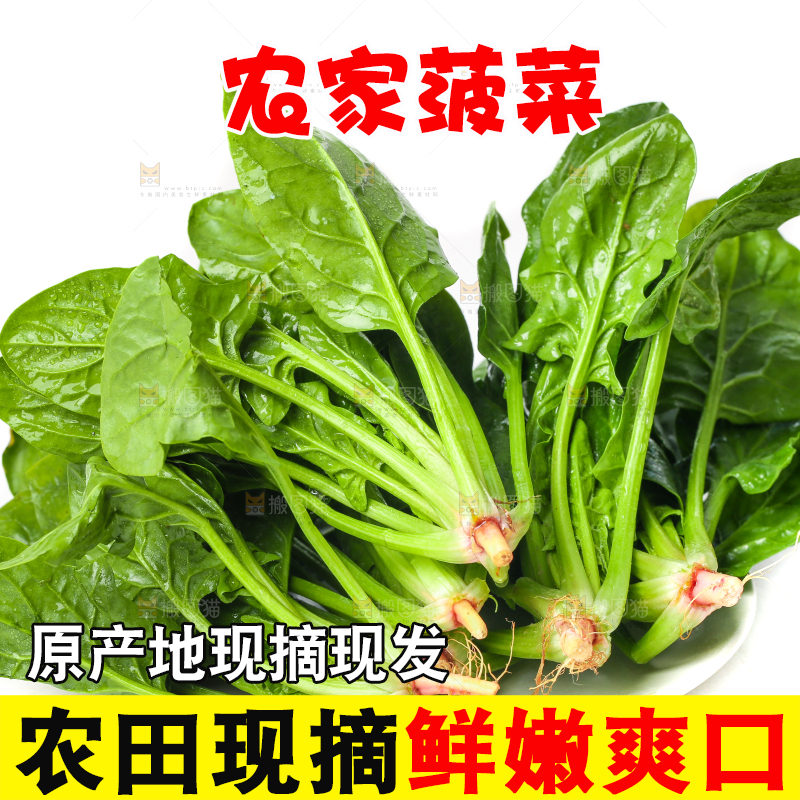 白底上放着菠菜