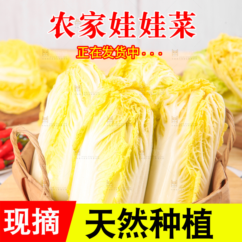 篮子里的湖北娃娃菜