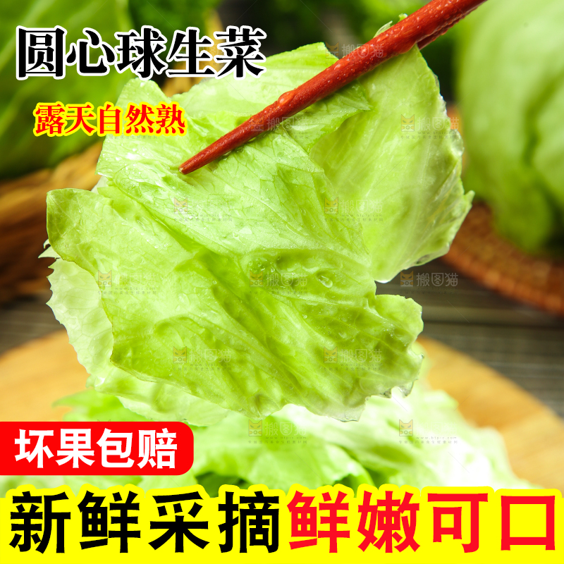 深底上的圆形生菜