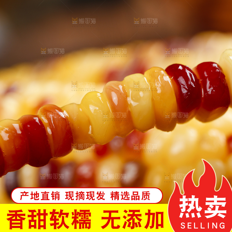 木底上的熟花糯玉米