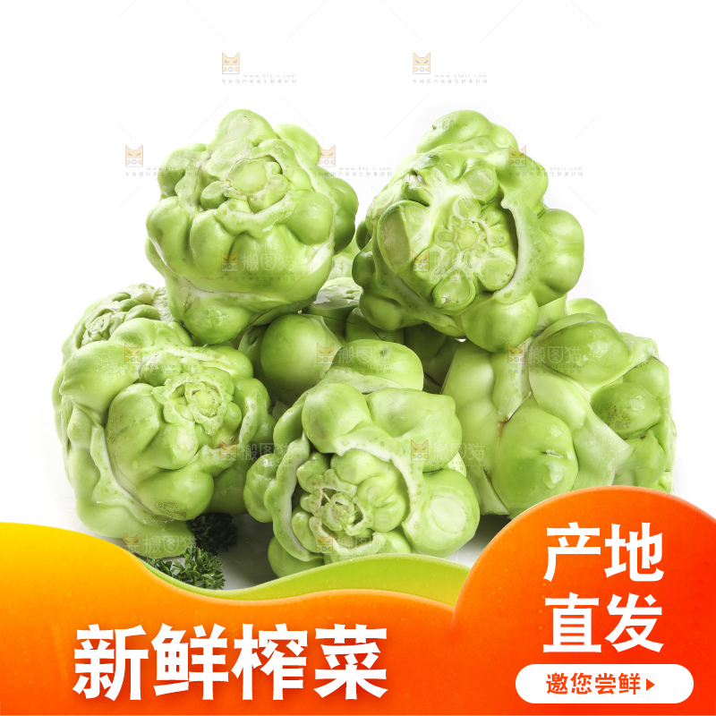 白底上放着芥菜头