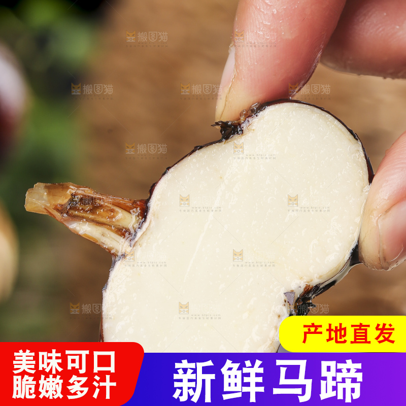 手里拿着菩荠