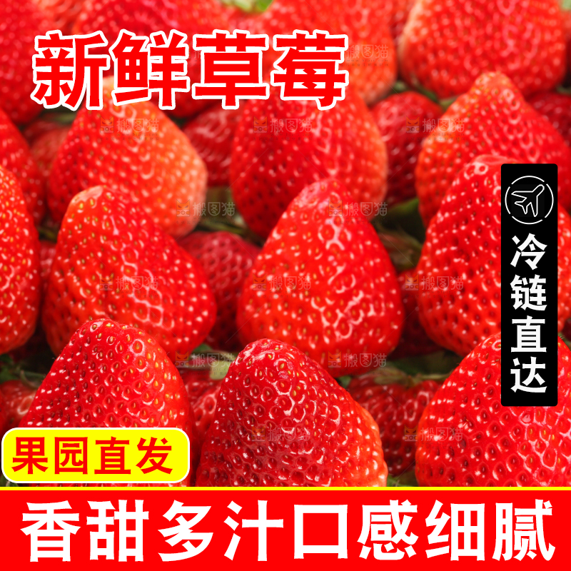 白底上放着一箱新鲜草莓