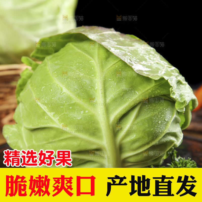 木板上摆放着卷心菜