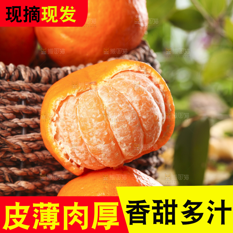 篮子里装着新鲜芦柑