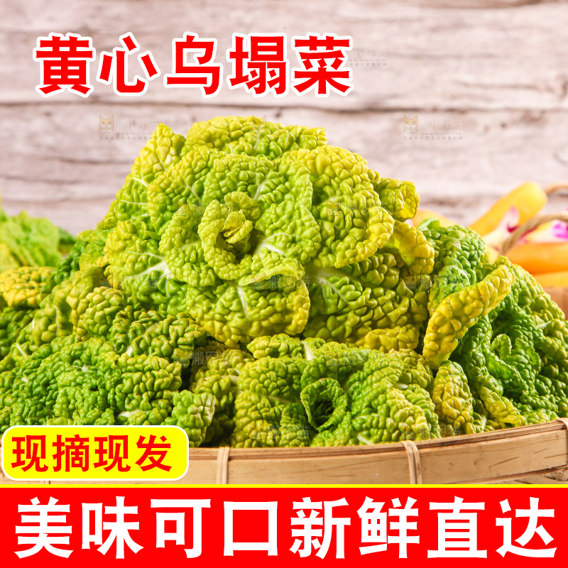 篮子里装着乌塌菜