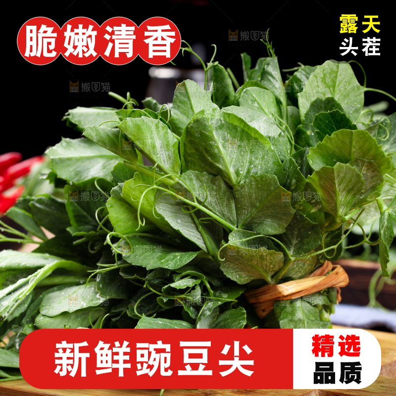 深底上的四川豌豆尖