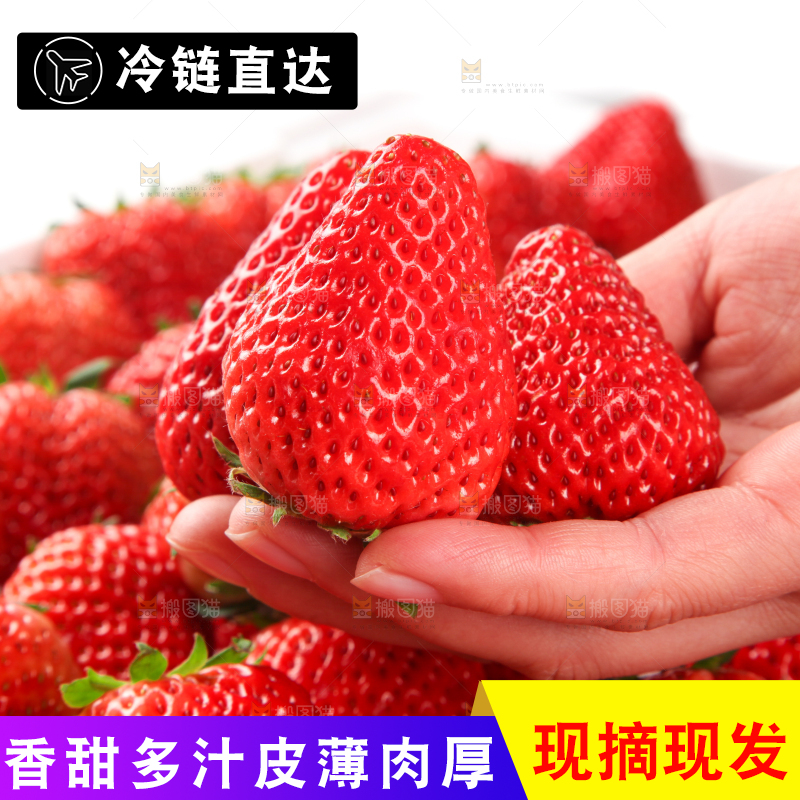 手里拿着新鲜草莓