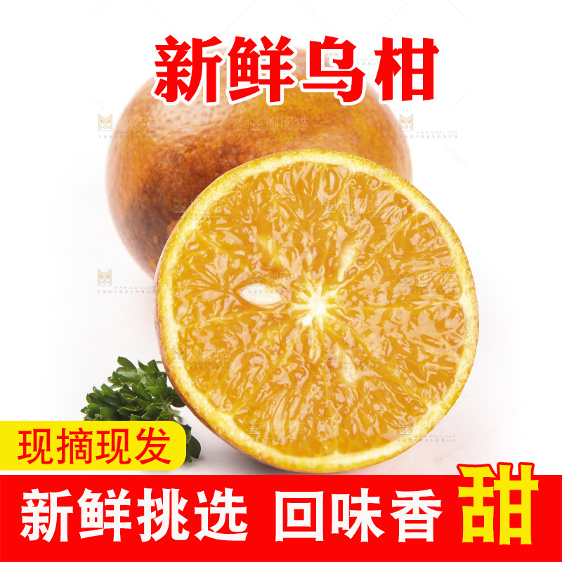 白底上放着新鲜乌柑