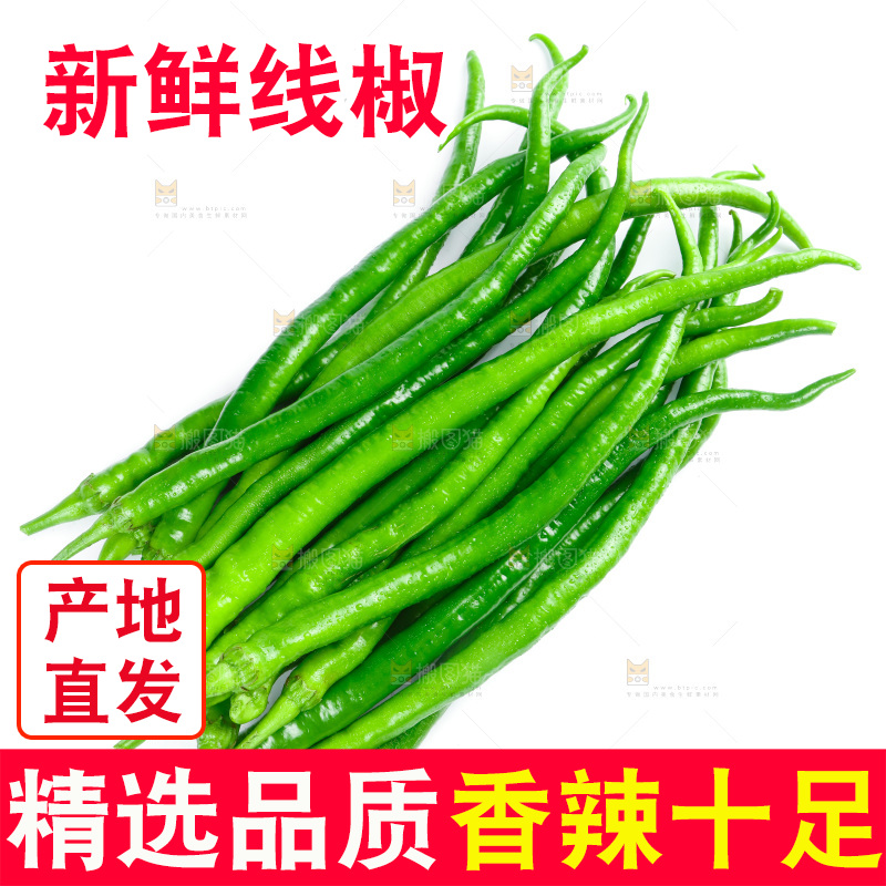 白底上放着二荆条辣椒