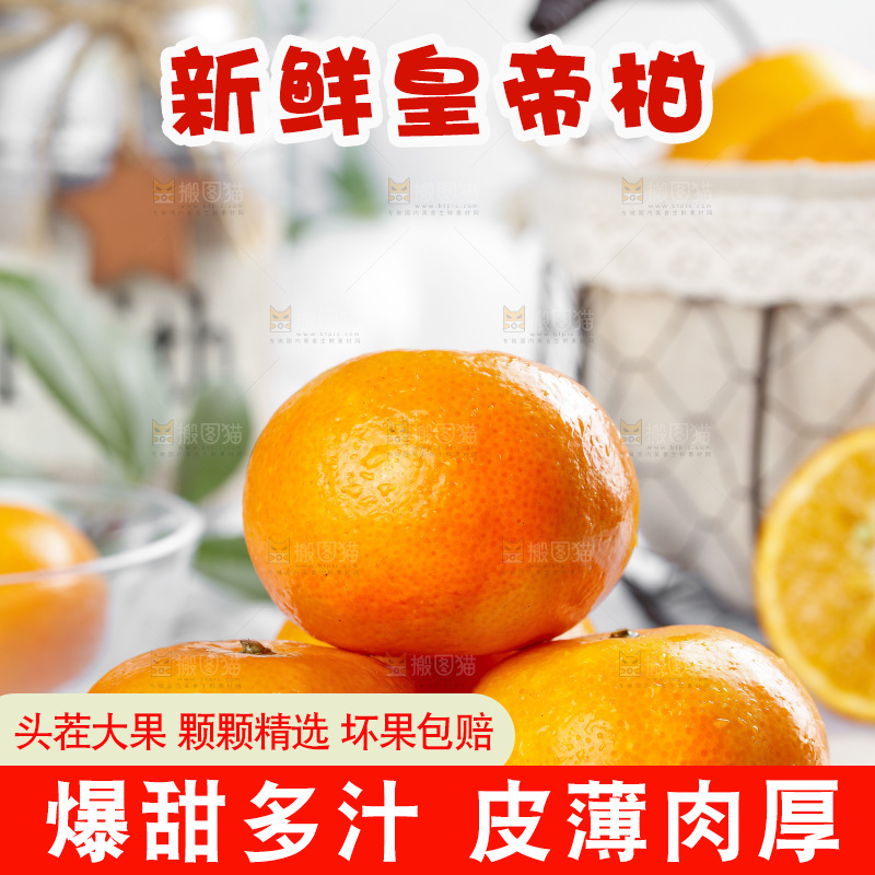 石板上的广西皇帝柑