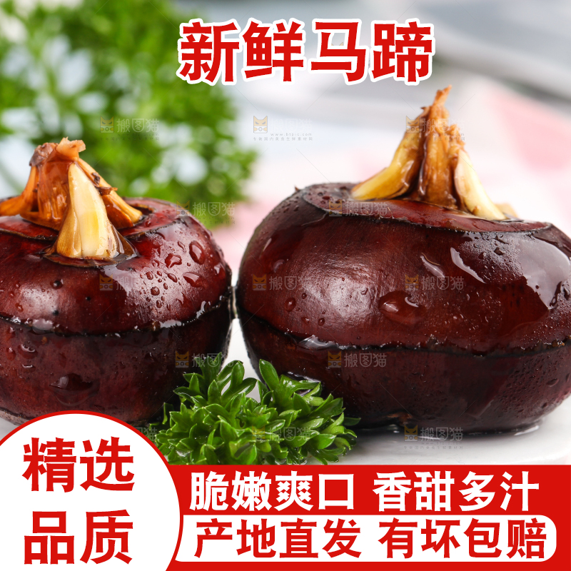 彩底上放着红马蹄