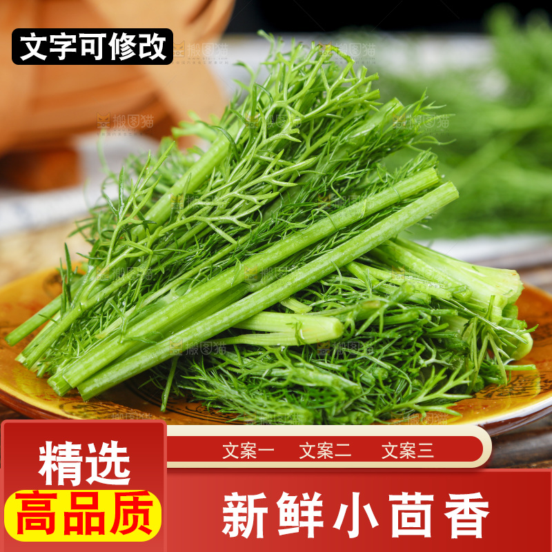 盘子里装着农家茴香菜