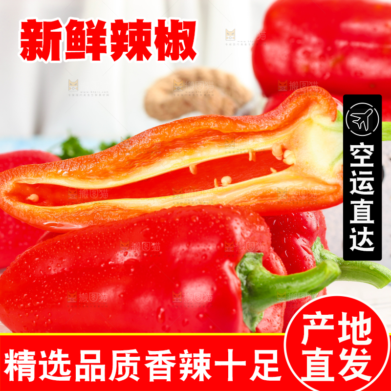 石板上的山东红辣椒