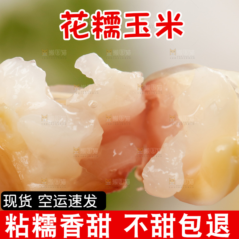 手拿掰开的熟花糯玉米粒