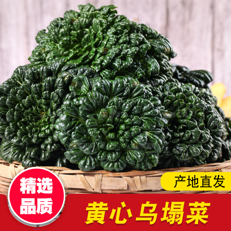 浅底上放着菊花菜