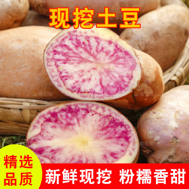 篮子里装着云南红心土豆